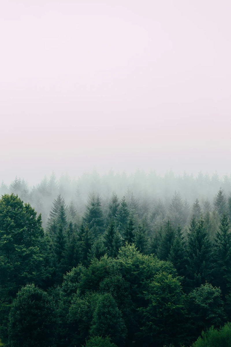 Breath